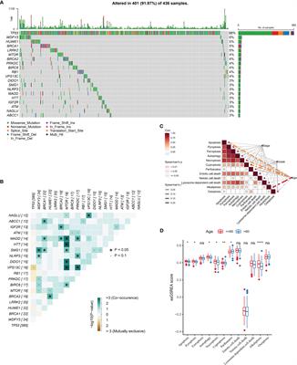 Assessing of programmed cell death gene signature for predicting ovarian cancer prognosis and treatment response